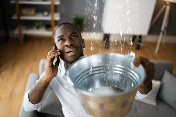 Best Water damage restoration near me  in Firthcliffe, NY