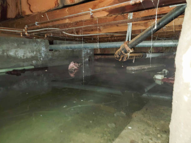 Best Water damage restoration company  in Firthcliffe, NY