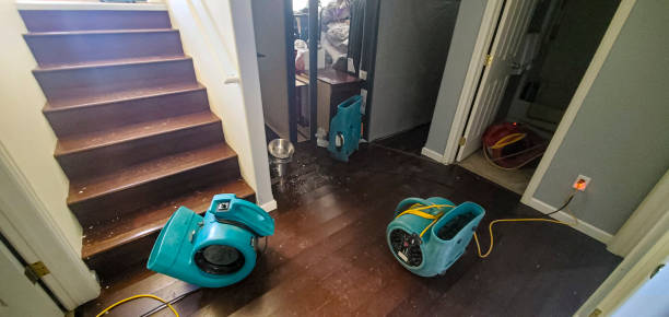 Best Flood restoration services  in Firthcliffe, NY