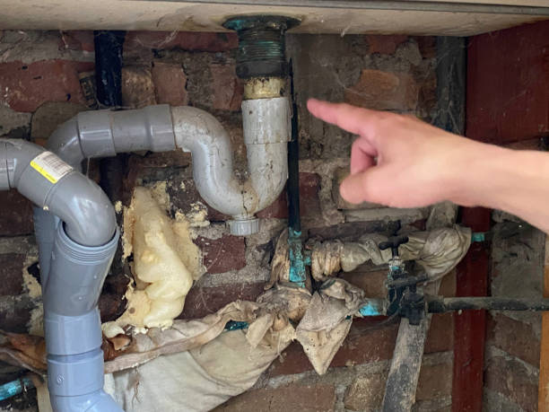 Best Flooded house restoration  in Firthcliffe, NY