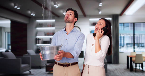 Best 24-hour water damage restoration  in Firthcliffe, NY
