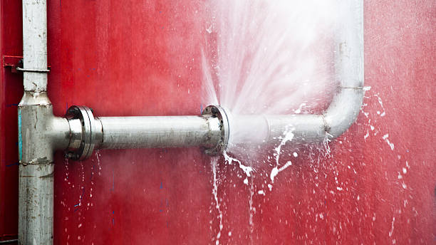 Best Professional water damage repair  in Firthcliffe, NY
